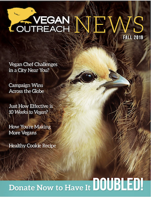 Fall 2019 Vegan Outreach News