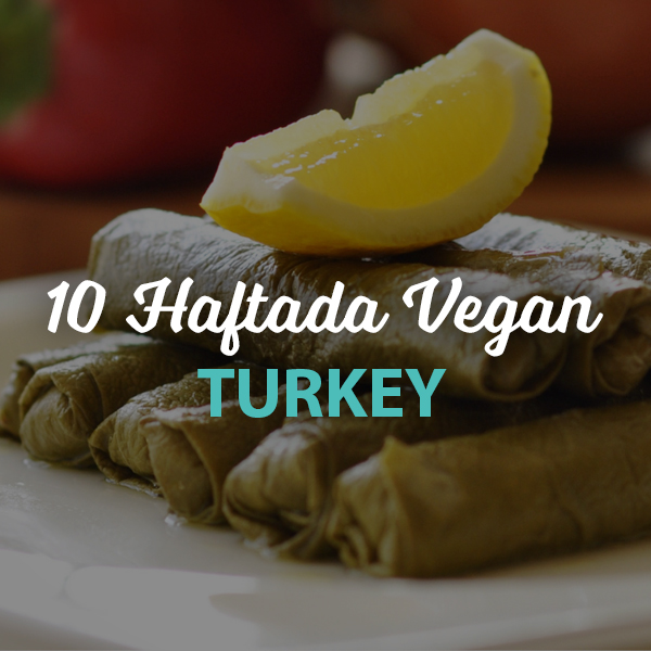 10 Haftada Vegan Turkey