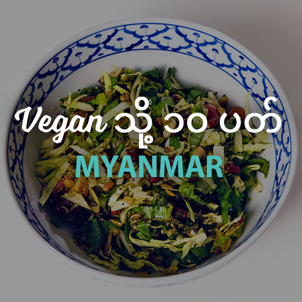 Vegan သို့ ၁၀ ပတ် Myanmar