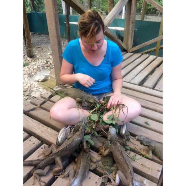 Belize-Iguanas